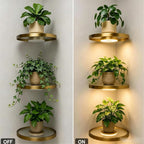 Floating Wall Shelf with Built-in Ambient LED Light, LED Metallic Texture Floating Shelves, Invisible Bracket Hanging Display Rack for Home, Bedroom, Living Room Decor ,3pcs