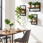 Housolution 3 Pack Floating Shelves for Wall Plant, Hanging Planter Shelf Holder for Indoor Plants, Space Saving Wall Mounted Decor for Living Room, Window, Apartment