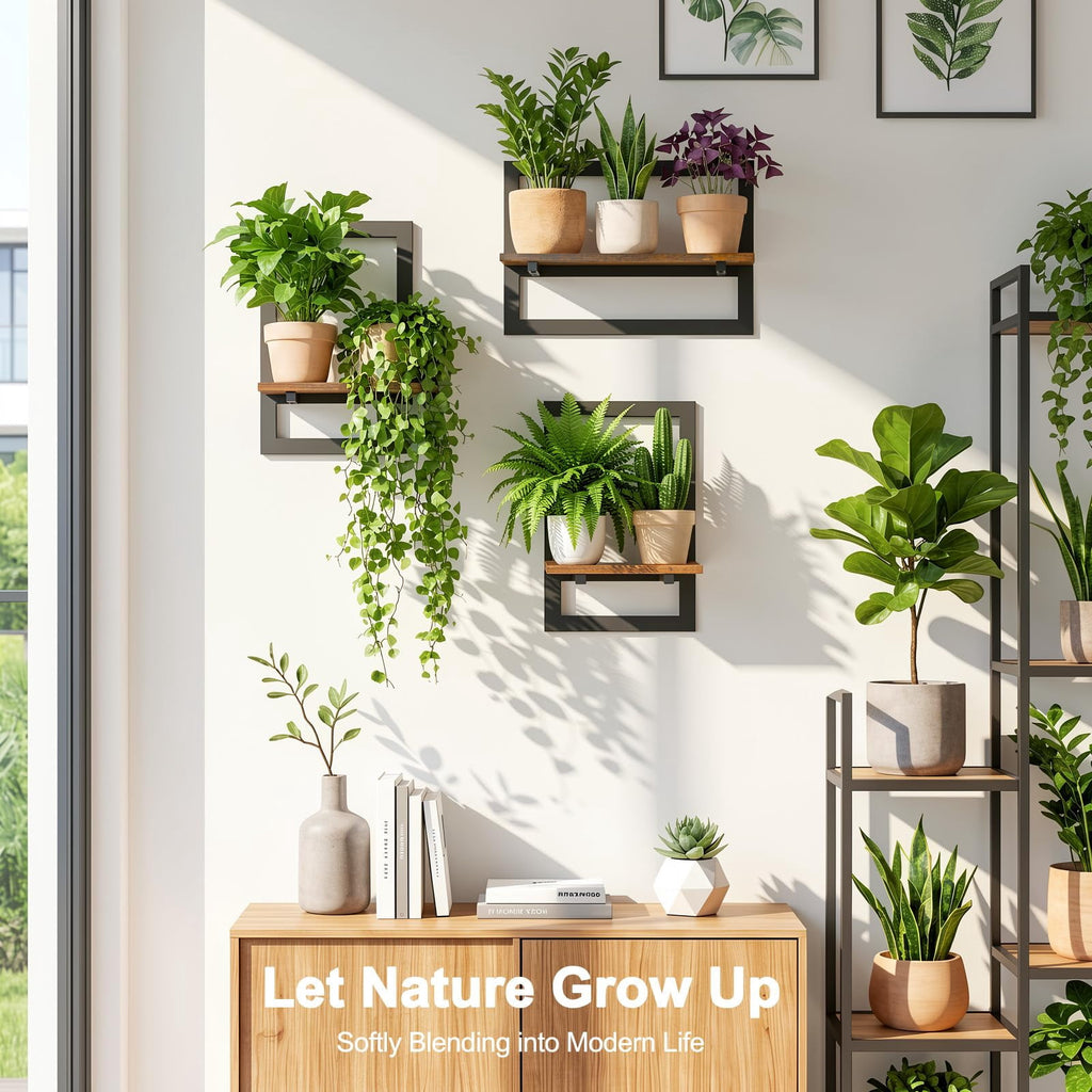 Housolution 3 Pack Floating Shelves for Wall Plant, Hanging Planter Shelf Holder for Indoor Plants, Space Saving Wall Mounted Decor for Living Room, Window, Apartment