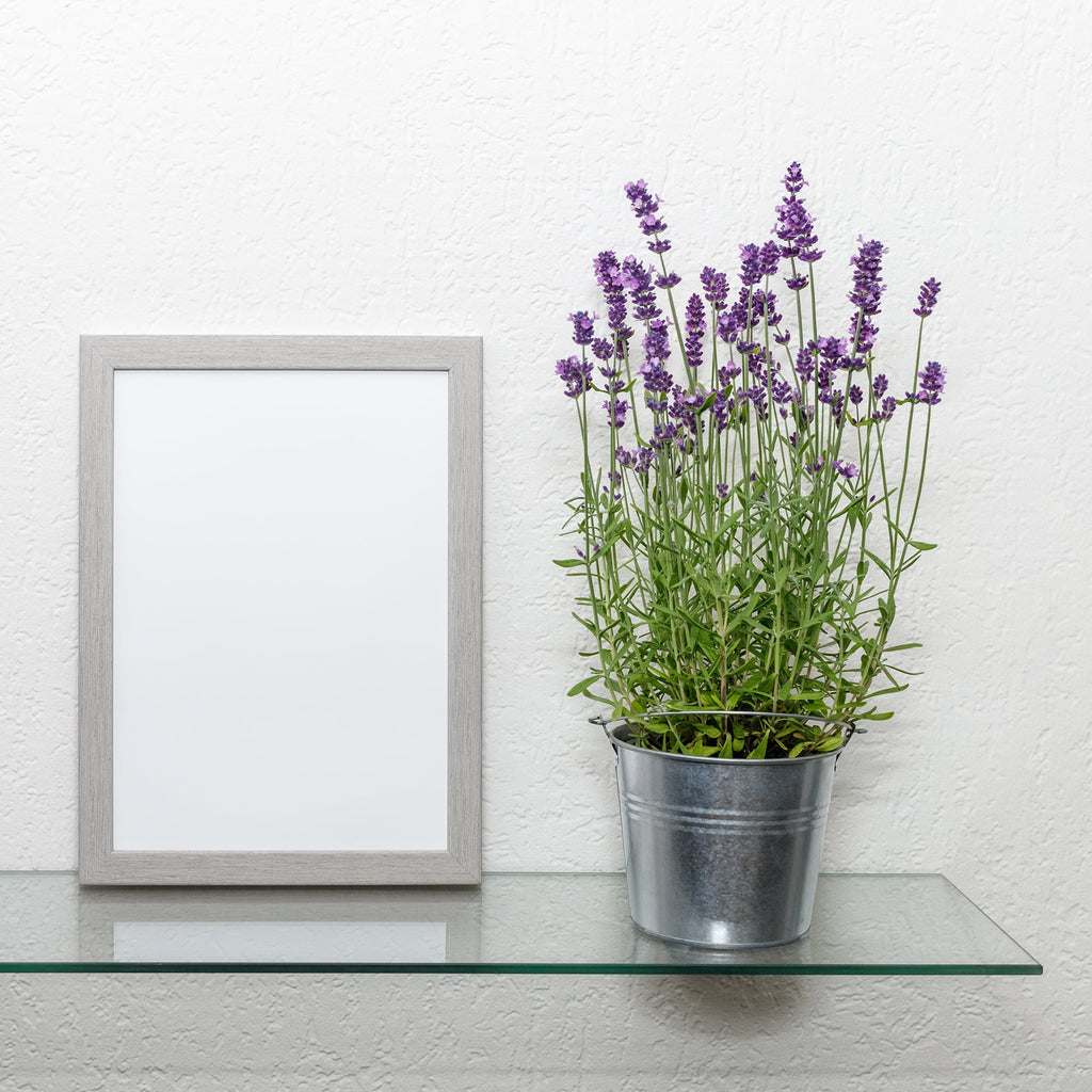Dulles Glass 12x24" Floating Glass Shelf, 1/4" Tempered, Flat Polish, Shelf Only, Bathroom