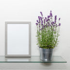 Dulles Glass 12x24" Floating Glass Shelf, 1/4" Tempered, Flat Polish, Shelf Only, Bathroom