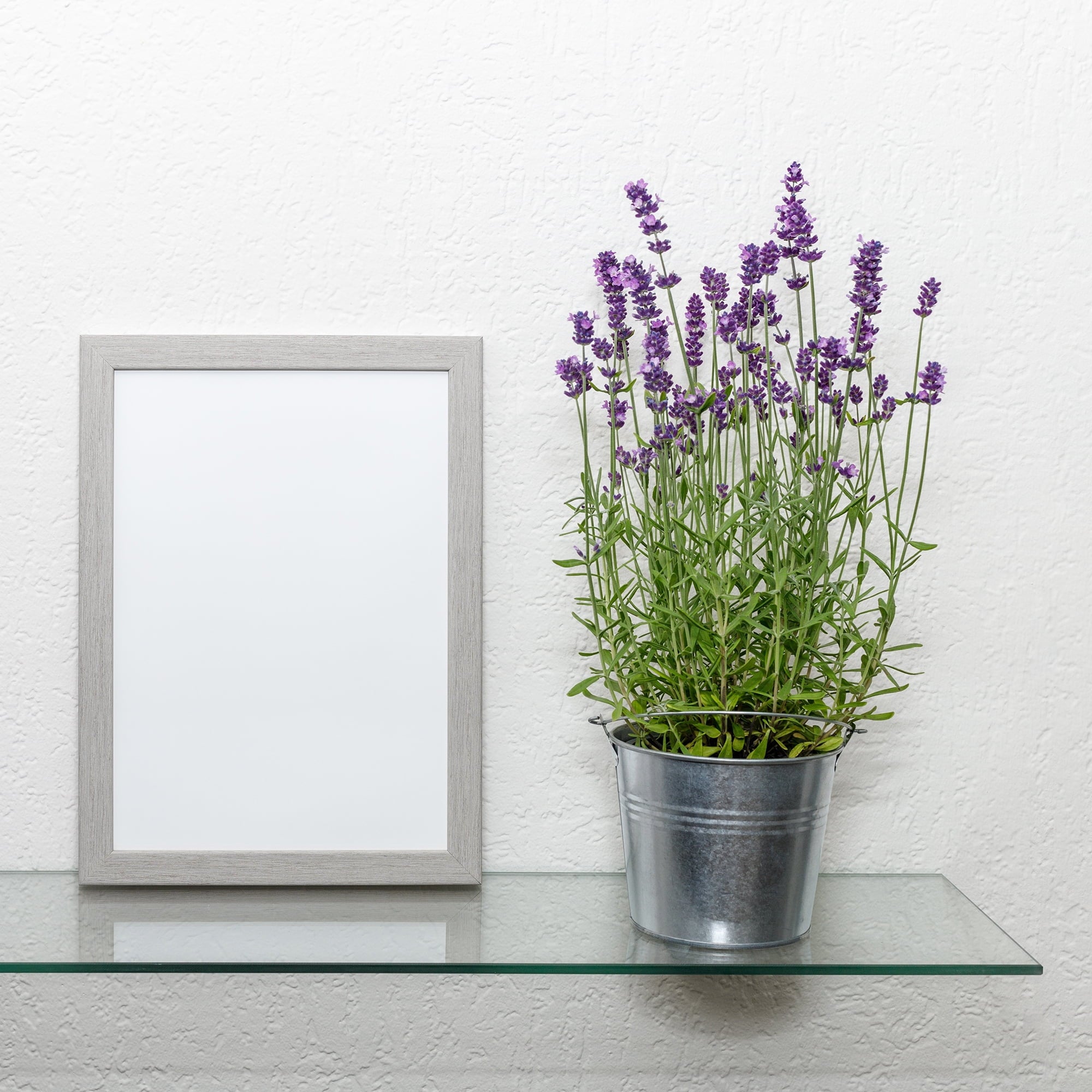 Dulles Glass 12x24" Floating Glass Shelf, 1/4" Tempered, Flat Polish, Shelf Only, Bathroom