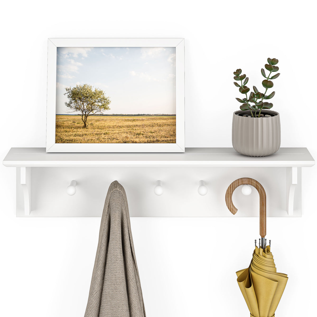 Ballucci Wall Coat Rack Shelf, Entryway Floating Shelf Rack, 5 Pegs, 24", White