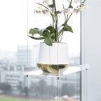 3-Tier Window Plant Shelves 16 Inch, Acrylic Adjustable Hanging Floating Shelf, Window Sill Extender for Indoor Plants