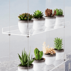 3-Tier Window Plant Shelves 16 Inch, Acrylic Adjustable Hanging Floating Shelf, Window Sill Extender for Indoor Plants